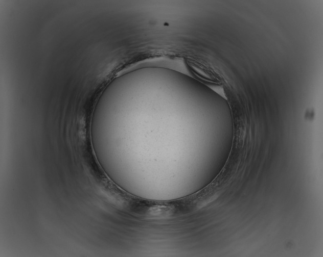 X0000089450700200707131927