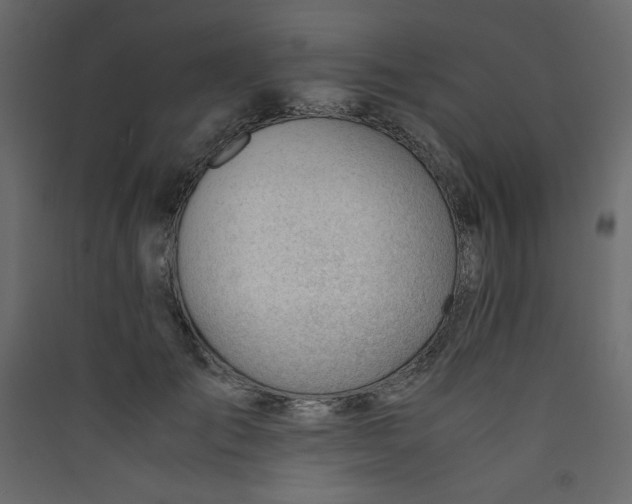 X0000089450701200707131927