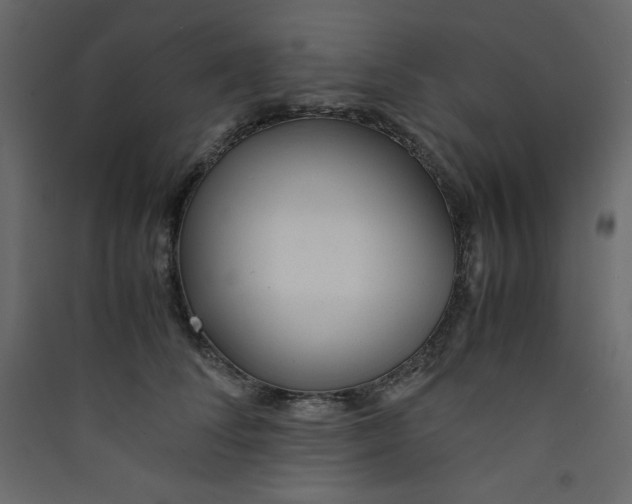 X0000089450708200707131927