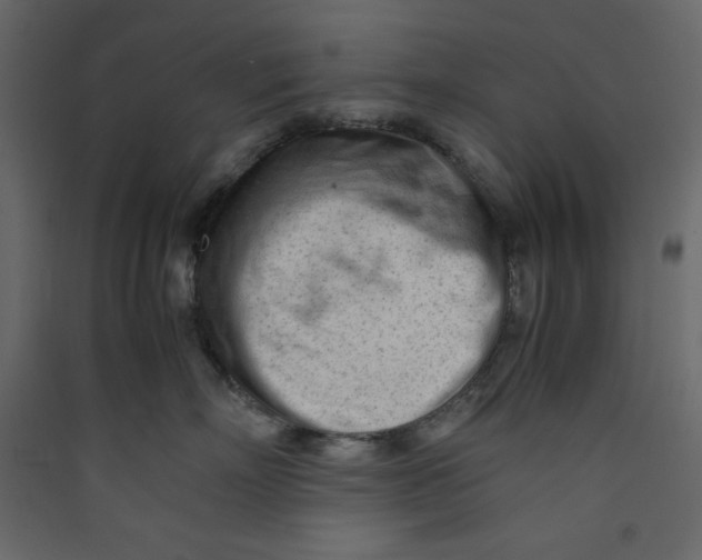 X0000089450718200707131927