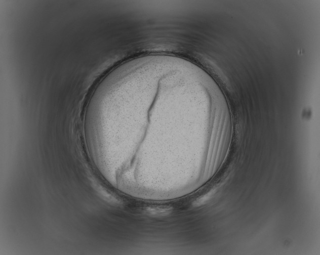 X0000089450721200707131926