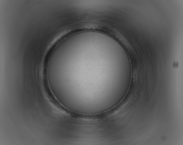 X0000089450722200707131926