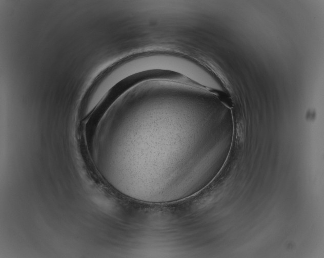 X0000089450724200707131926