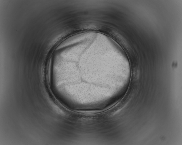 X0000089450725200707131926