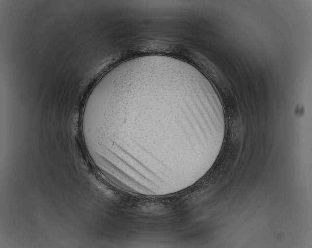 X0000089450729200707131926