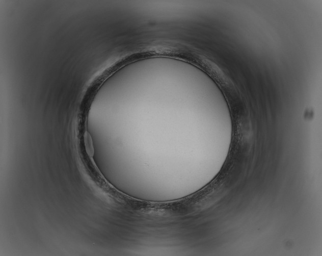 X0000089450730200707131926