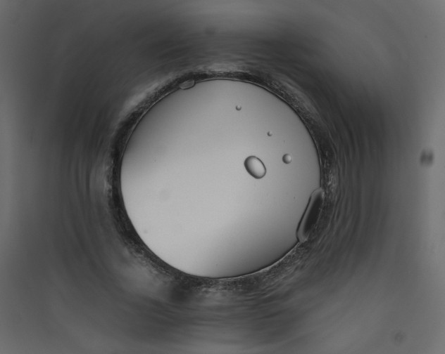 X0000089450732200707131926