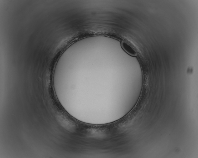 X0000089450733200707131926