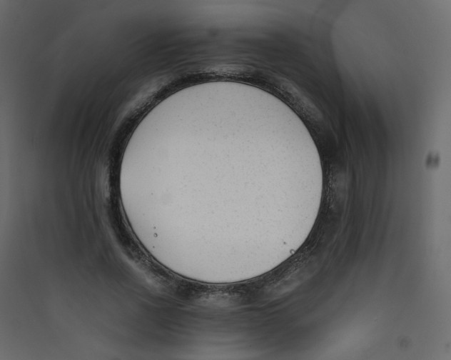 X0000089450734200707131926