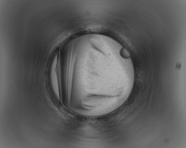 X0000089450738200707131926