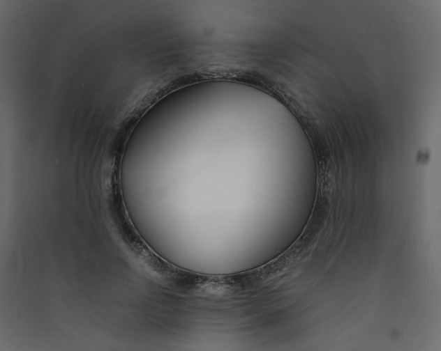 X0000089450742200707131926