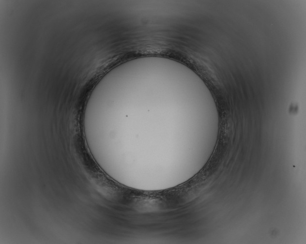 X0000089450743200707131926