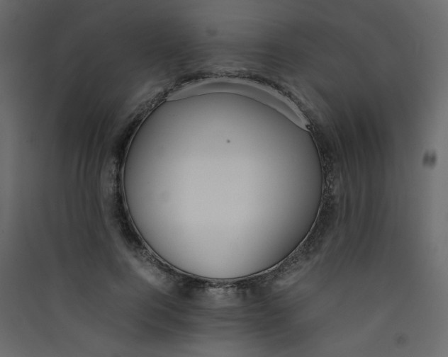 X0000089450744200707131926