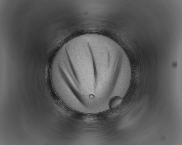 X0000089450746200707131926