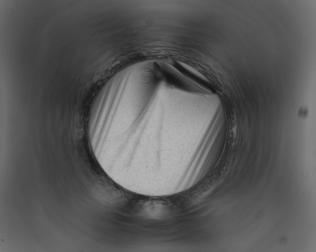 X0000089450751200707131926