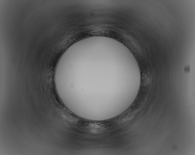 X0000089450753200707131926