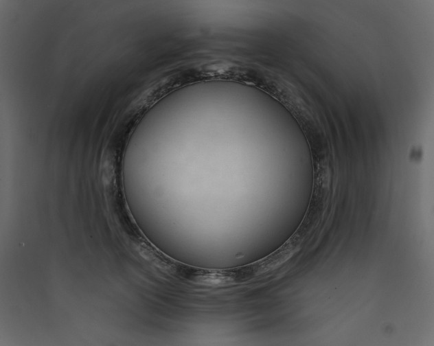 X0000089450754200707131926