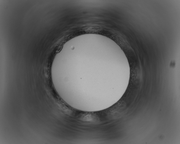 X0000089450755200707131926