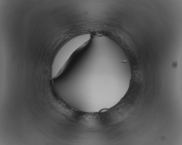 X0000089450756200707131926