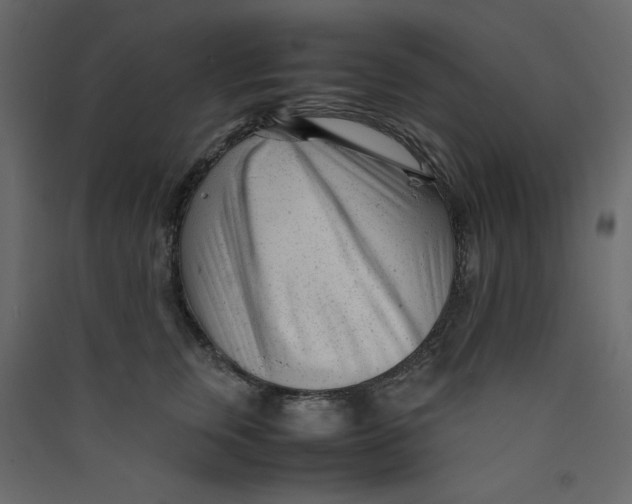 X0000089450759200707131927