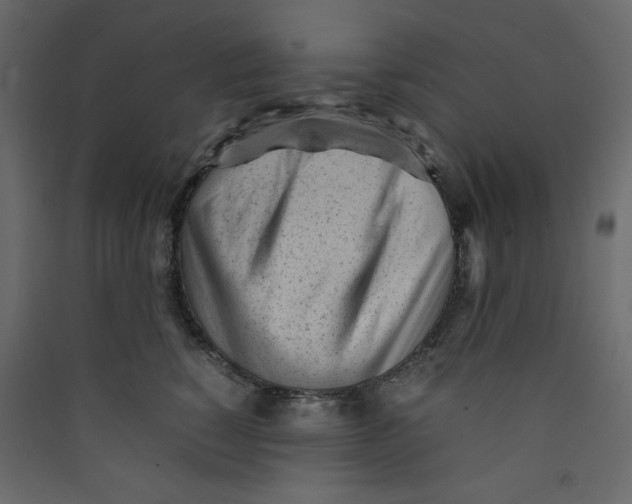 X0000089450760200707131927