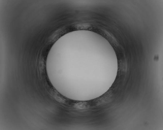 X0000089450761200707131927