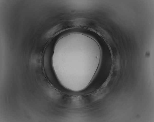 X0000089450762200707131927