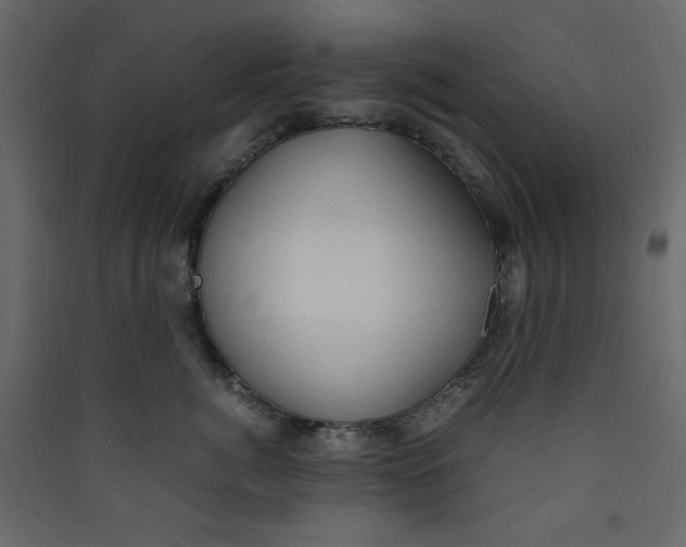 X0000089450764200707131927