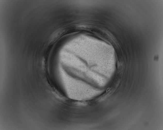 X0000089450765200707131927