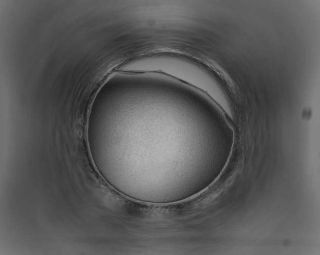 X0000089450785200707131925