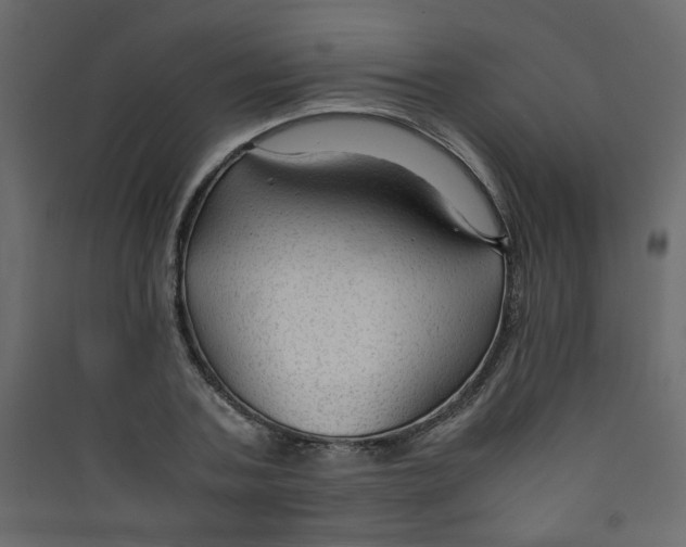 X0000089450787200707131925