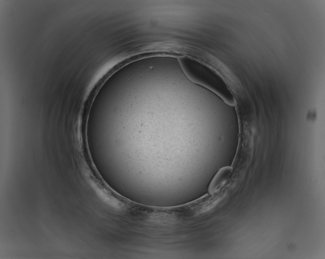 X0000089450788200707131925