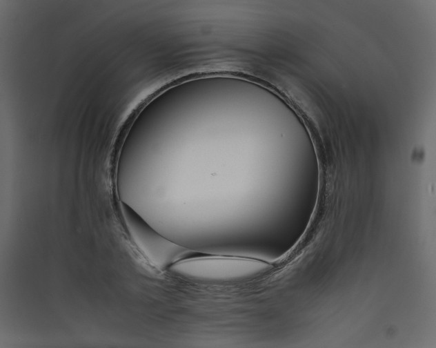 X0000089450789200707131925