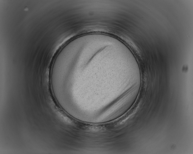 X0000089450790200707131925