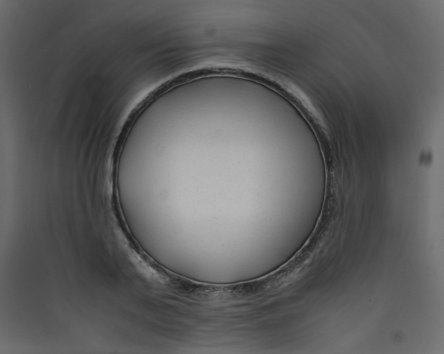 X0000089450791200707131925