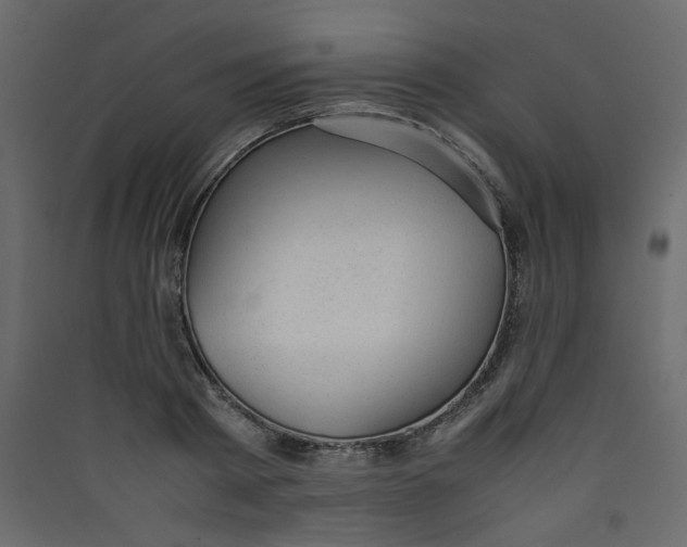 X0000089450793200707131925