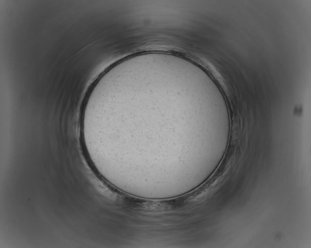 X0000089450795200707131925