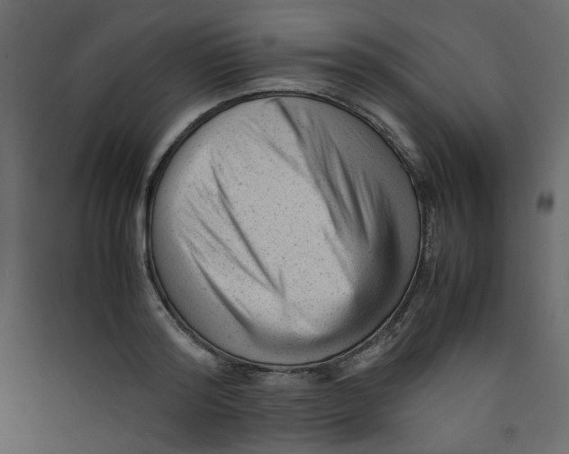 X0000089450796200707131925