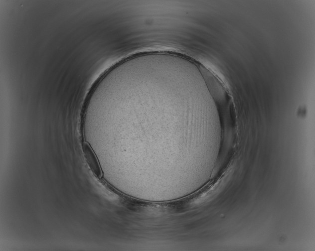 X0000089450797200707131925