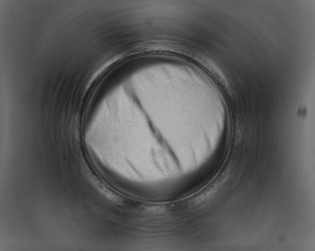 X0000089450798200707131925