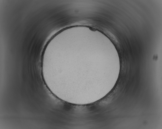 X0000089450800200707131925