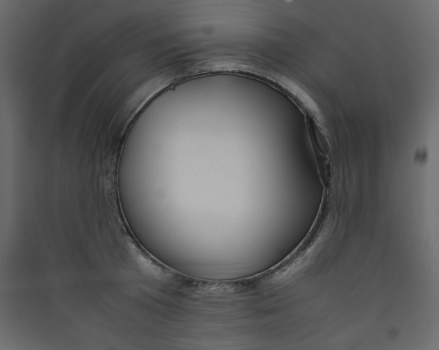 X0000089450801200707131925