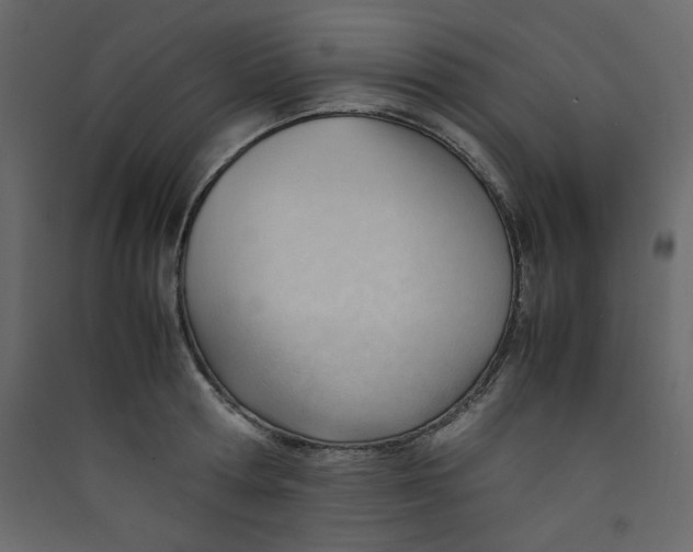 X0000089450802200707131925