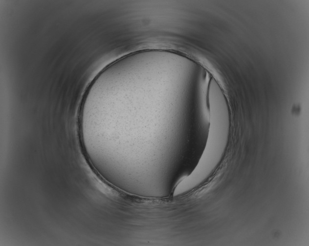 X0000089450803200707131925