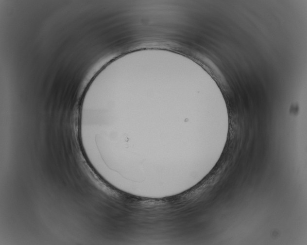 X0000089450804200707131925