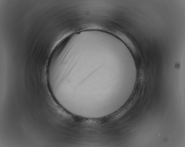 X0000089450806200707131925