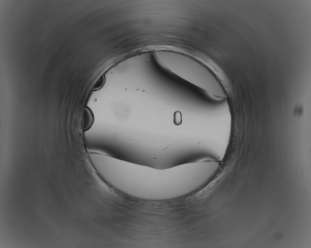 X0000089450809200707131925