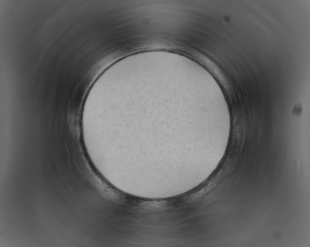 X0000089450810200707131925