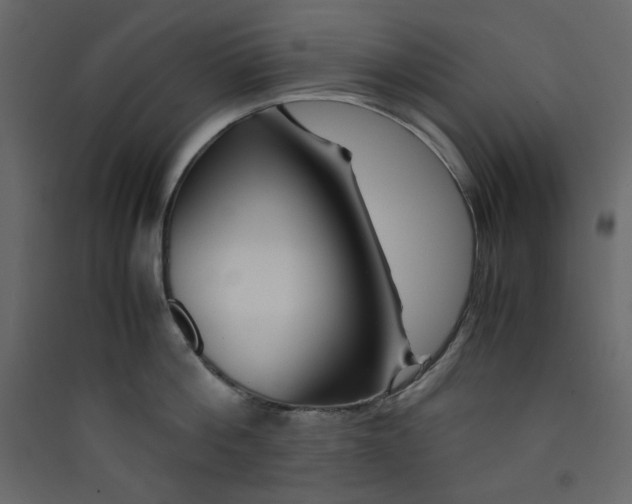 X0000089450812200707131925