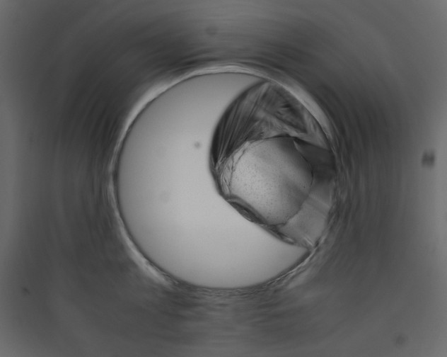 X0000089450813200707131925